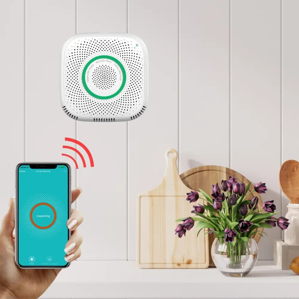 Smart Gas Leak Detector - Smart Gas Leak Detector