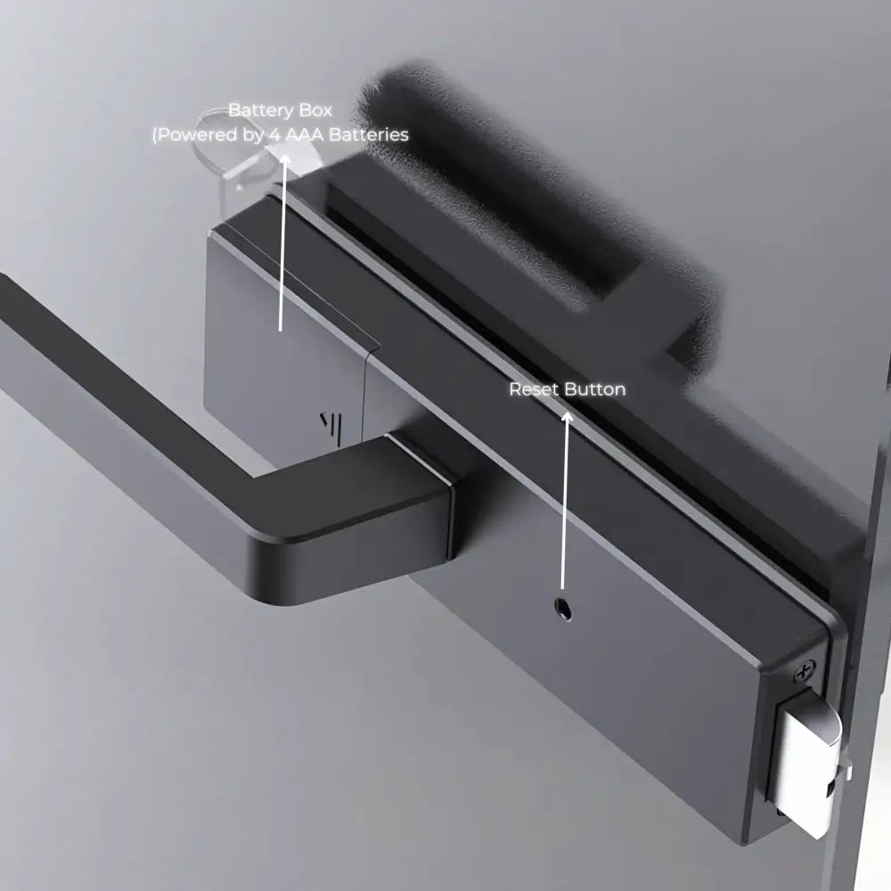 Glass Swing Door Smart Lock