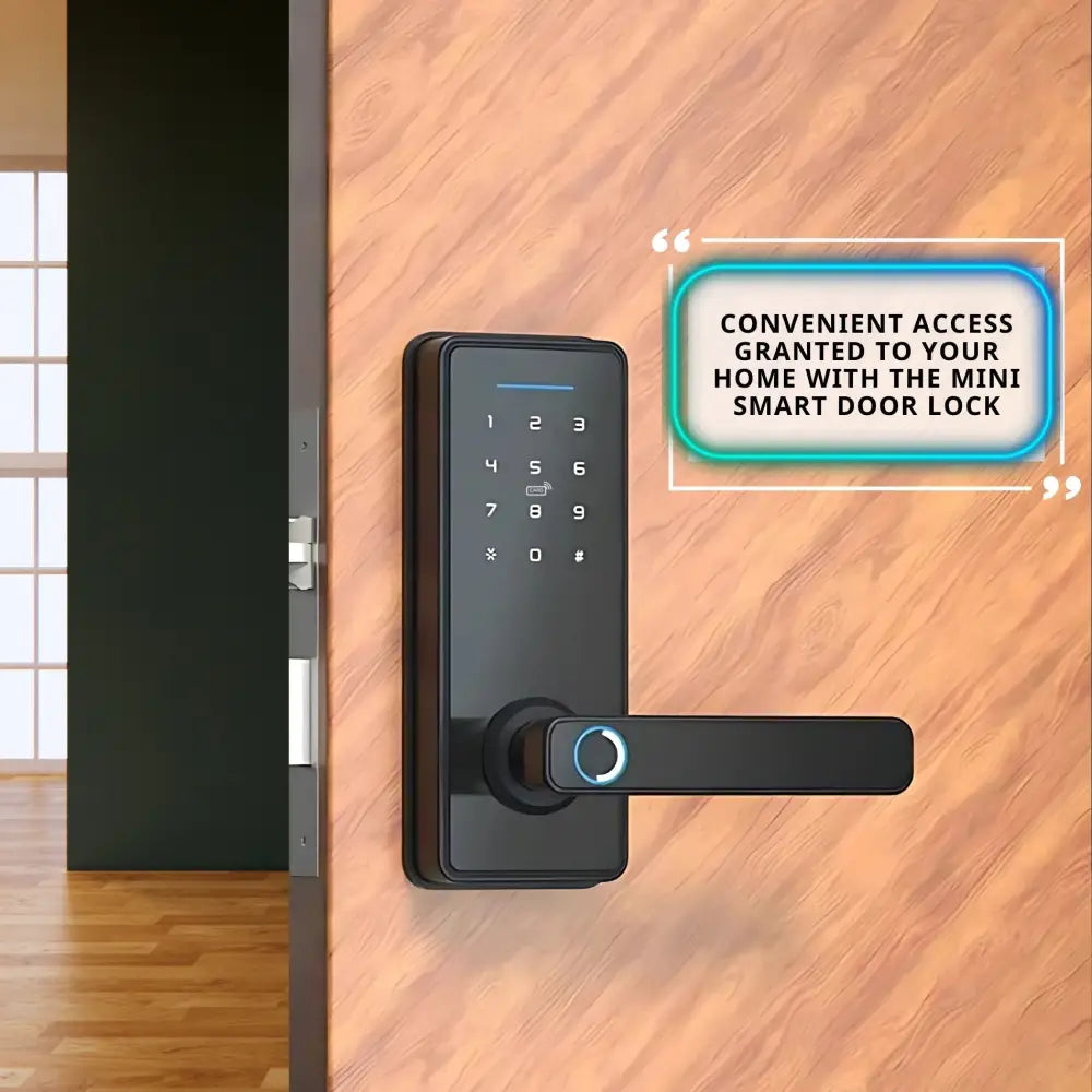 Mini Smart Door Lock