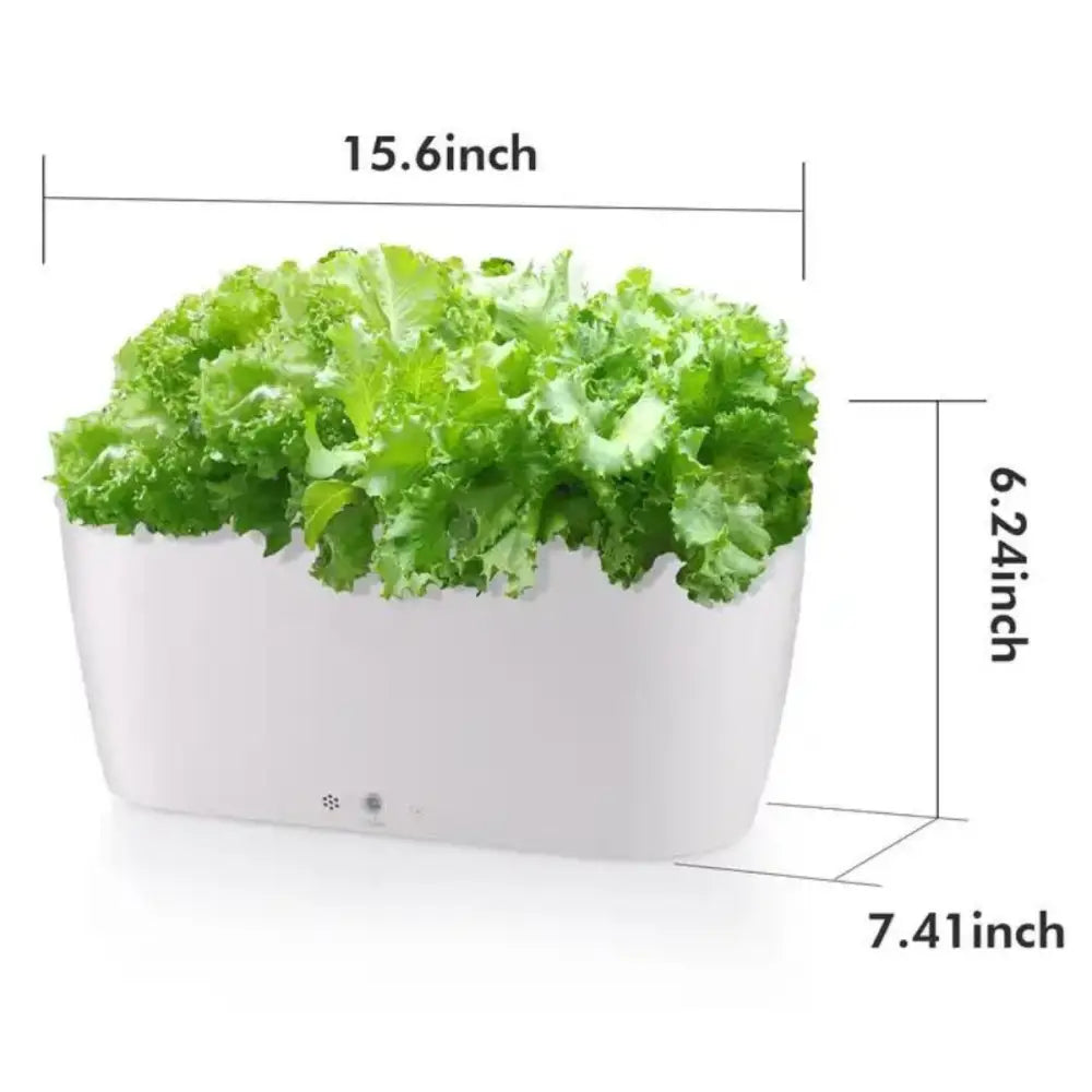 Self Watering Smart Planting Pot
