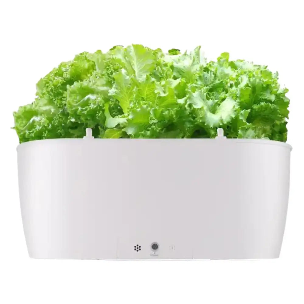 Self Watering Smart Planting Pot