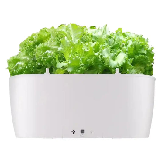 Self Watering Smart Planting Pot - Smart Self-Watering Pot