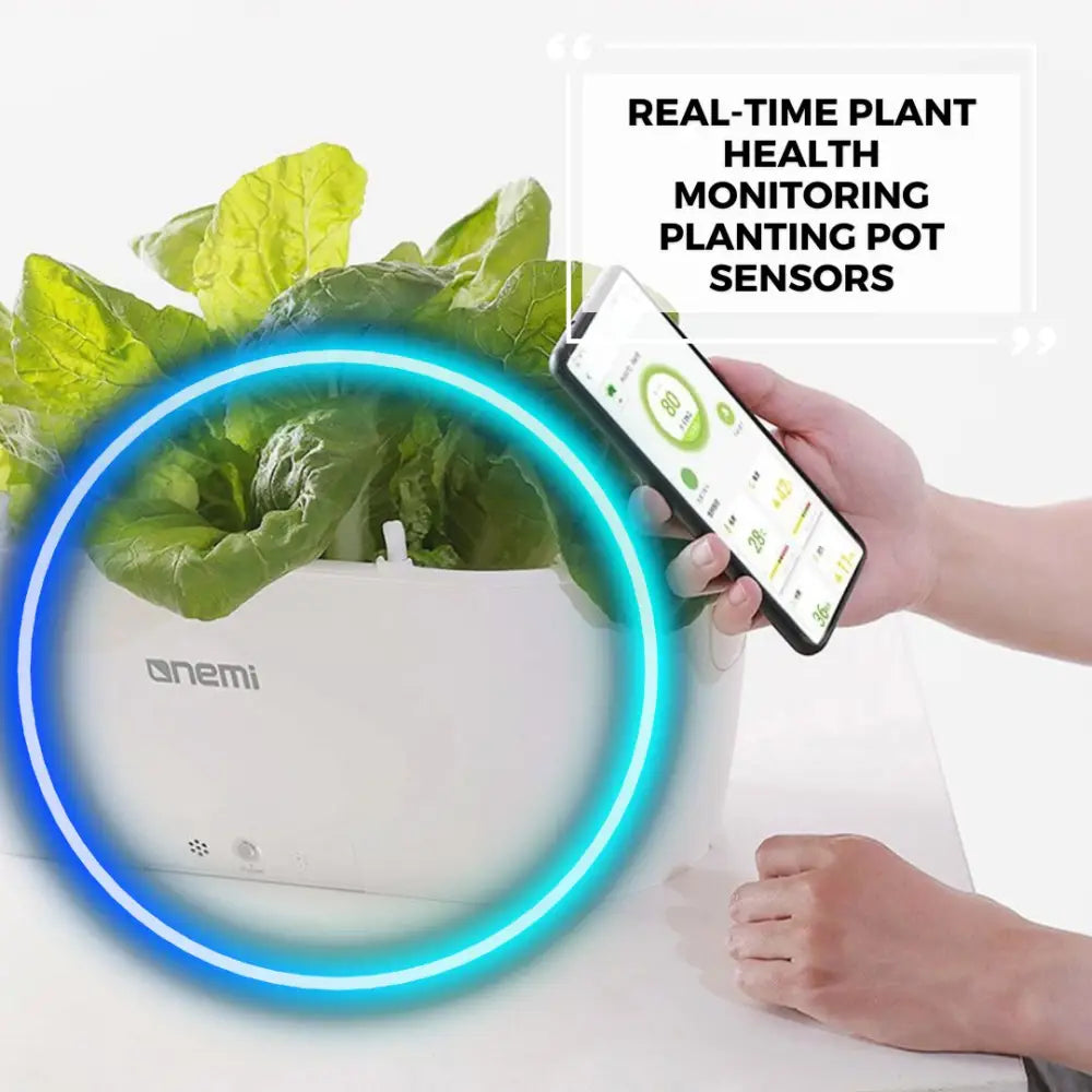 Self Watering Smart Planting Pot