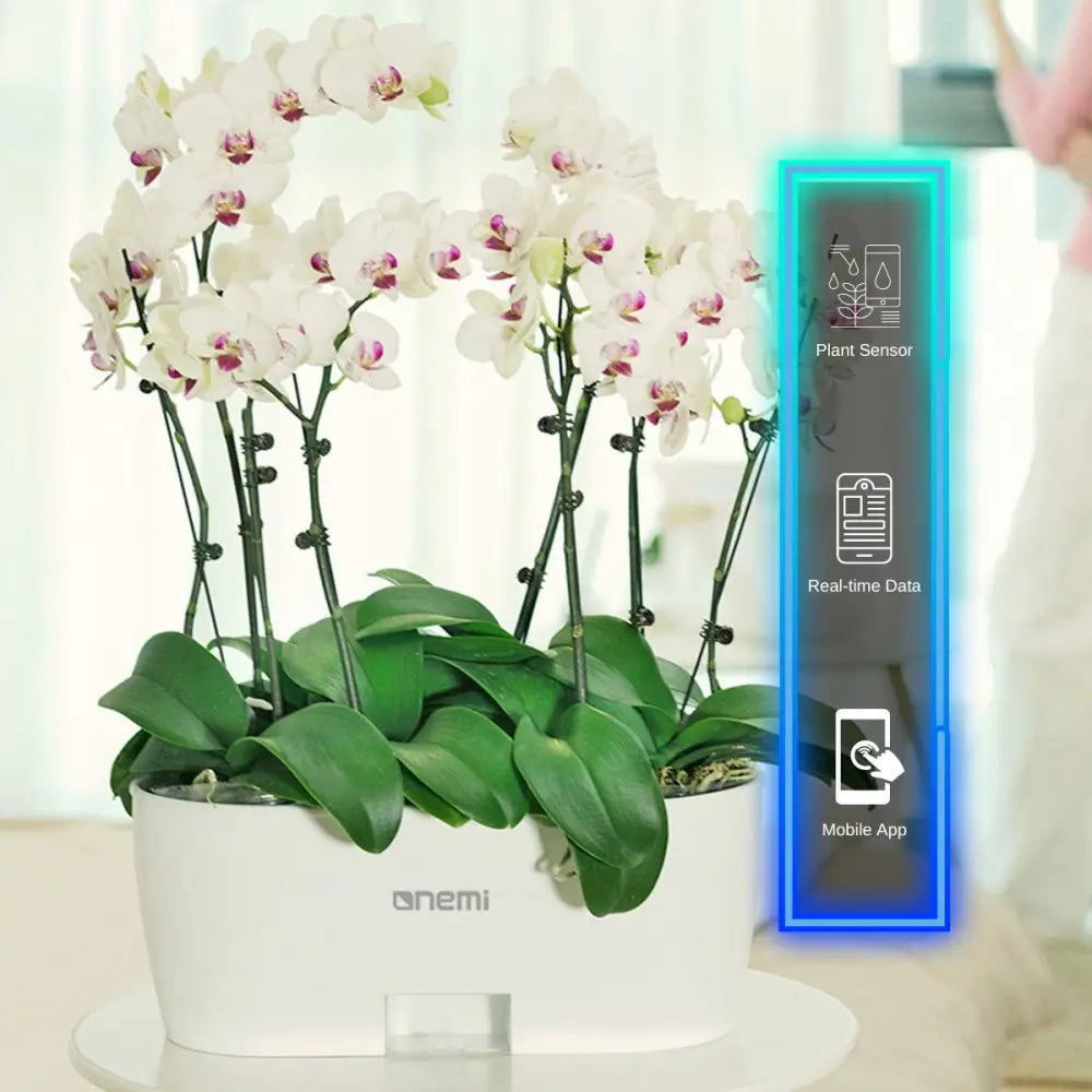 Self Watering Smart Planting Pot