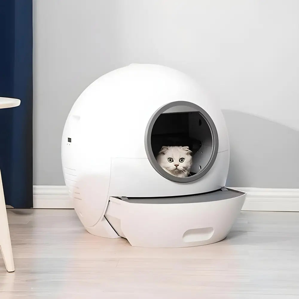Smart Cat Litter Box - Smart Cat Litter Box