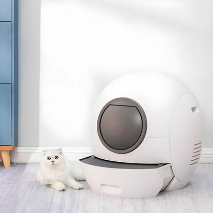 Smart Cat Litter Box - Smart Cat Litter Box
