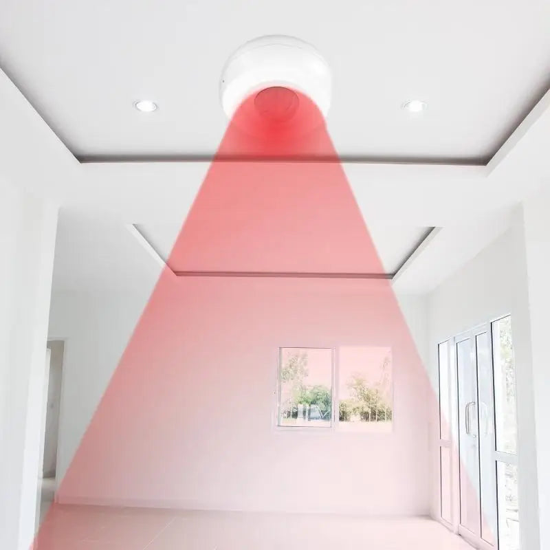 Smart Motion Detector - Smart Home Security Device