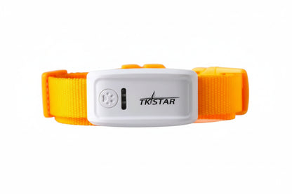 Smart Pet Collar Tracker - Yellow - GPS Pet Tracker