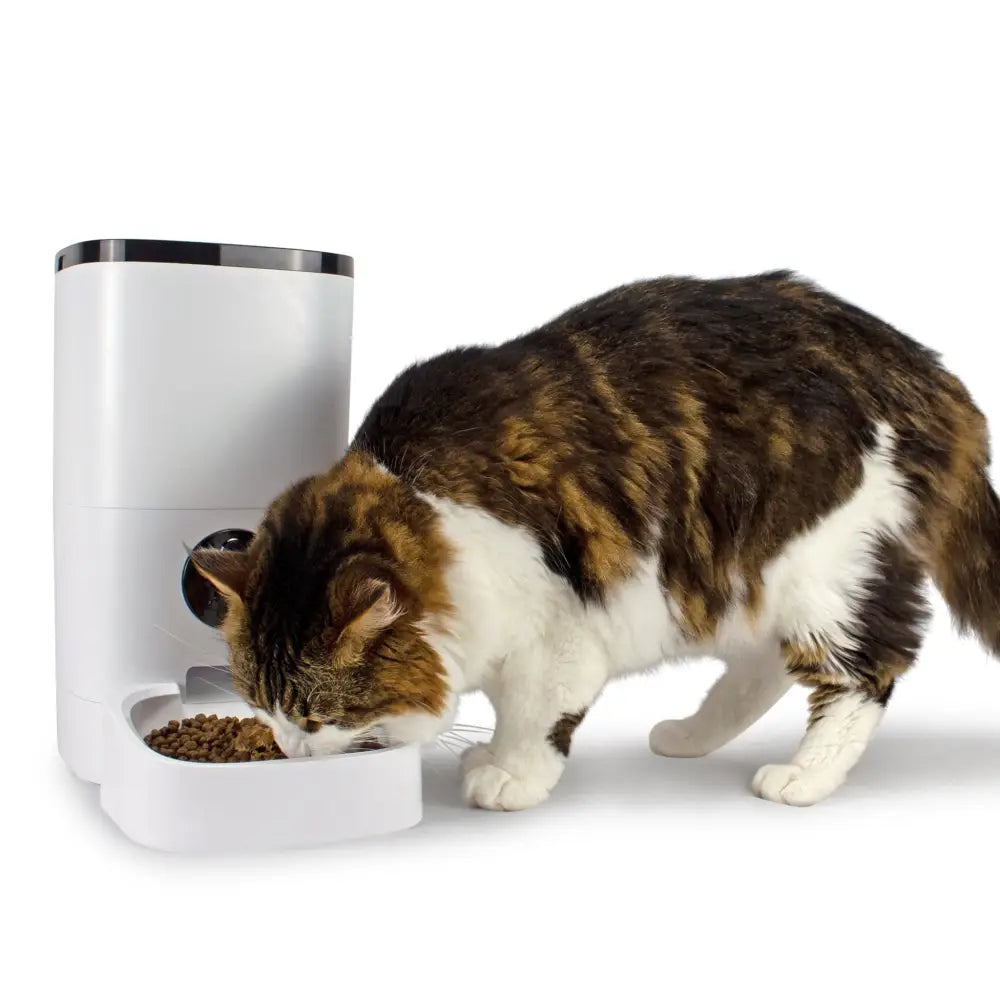 Smart Pet Feeder Camera - Smart Pet Feeder