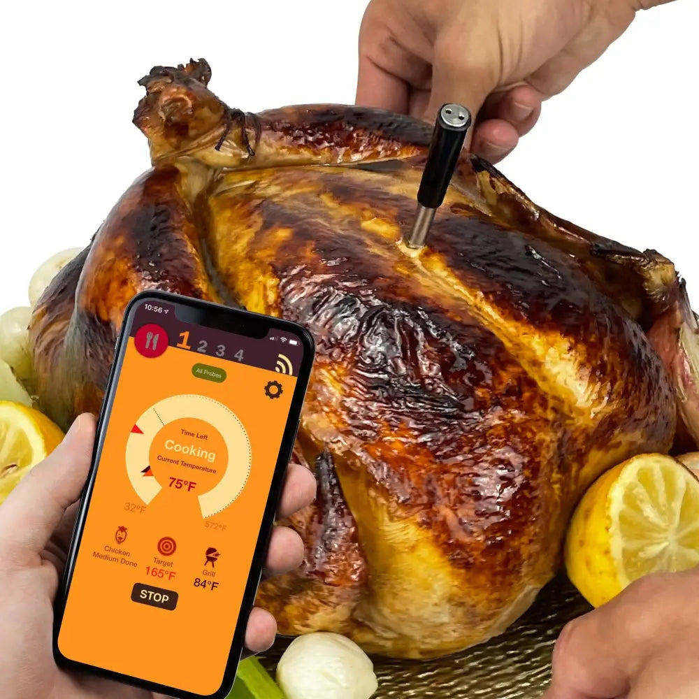 Wireless Food Thermometer - Thermometer